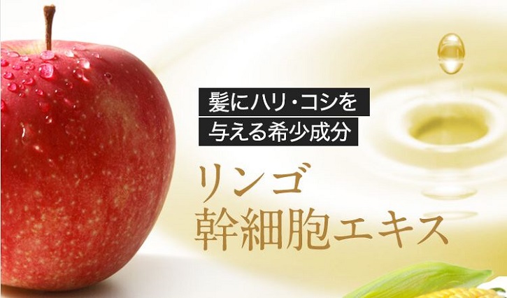 �n�f�B�G���g�ɂ���