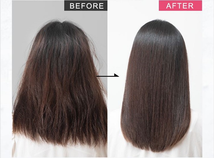 ハディエントについて